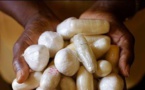 Stupéfiants: Le Sénégal n'échappe pas aux tendances haussières de la drogue dans le monde